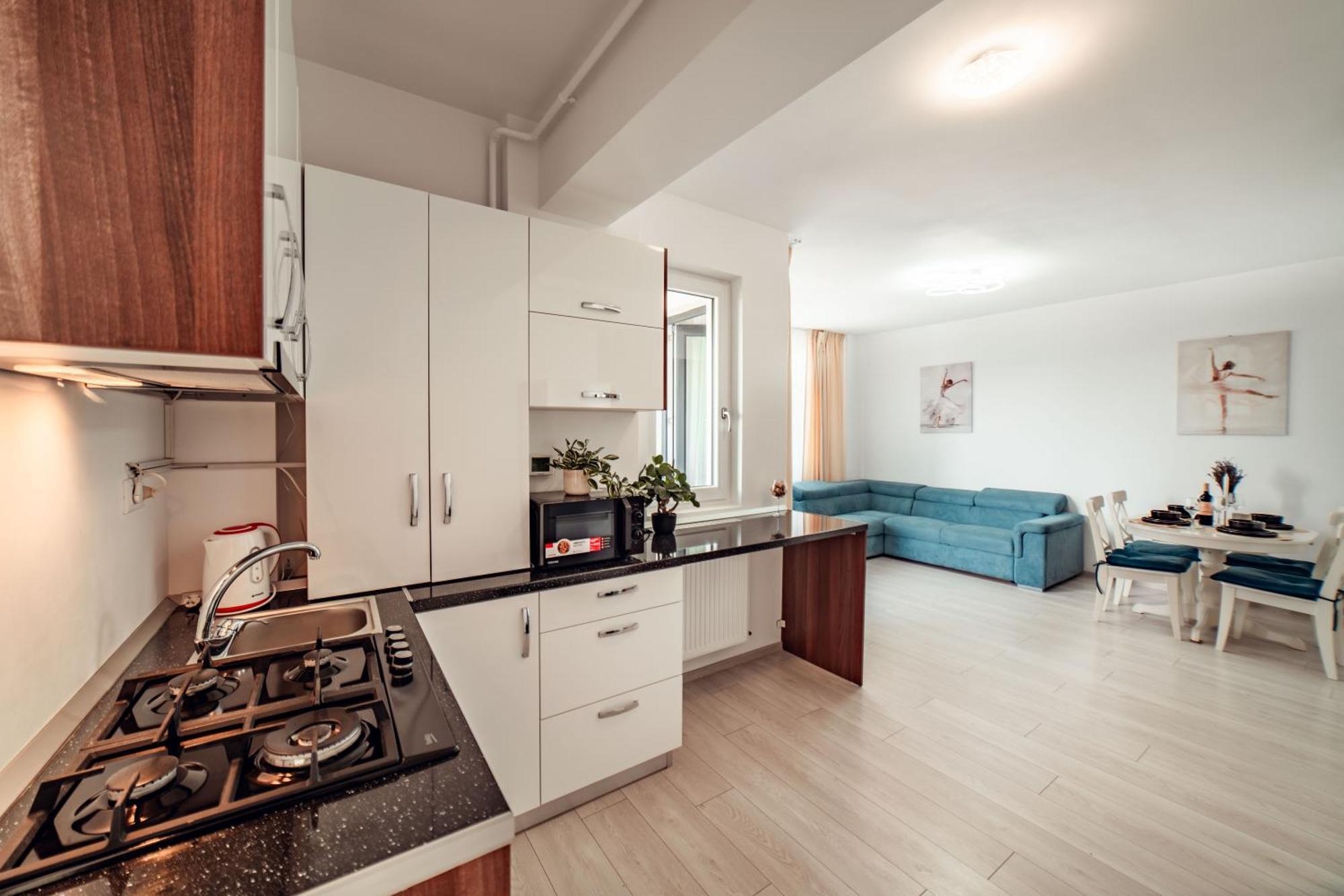 Cozycollection Apartments At Q Residence #5 이아시 외부 사진